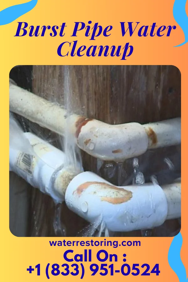 Burst Pipe Water Cleanup in New Haven, WV