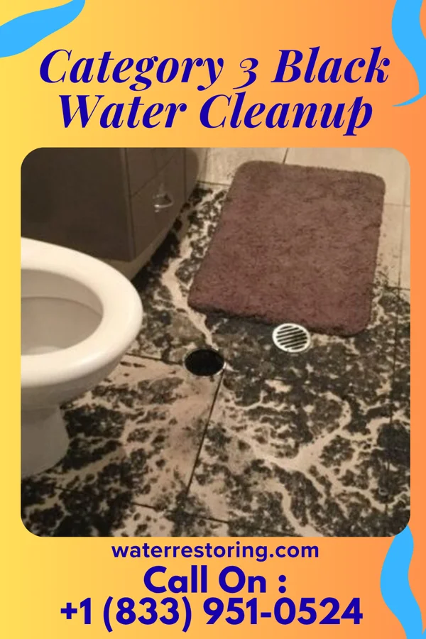 Category 3 Black Water Cleanup in New Haven, WV