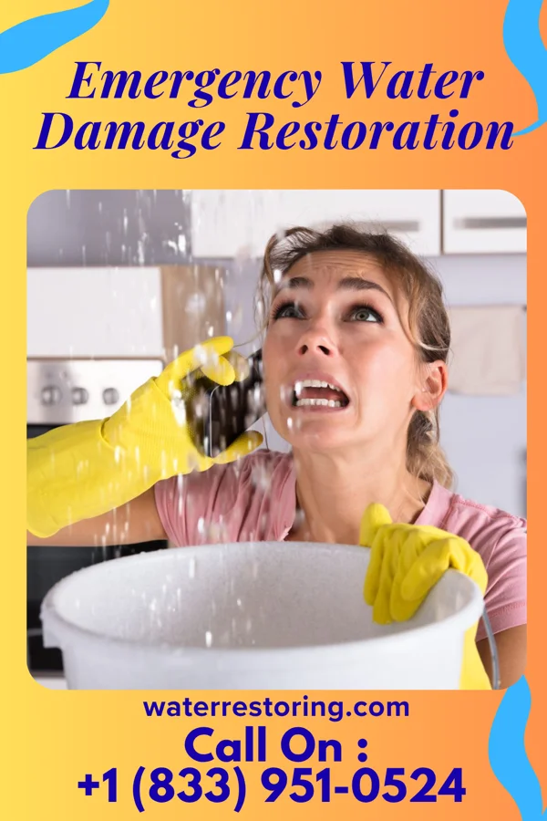 Emergency Water Damage Restoration in New Haven, WV