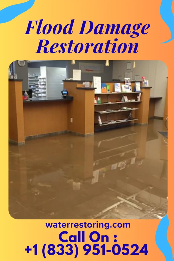 Flood Damage Restoration in New Haven, WV
