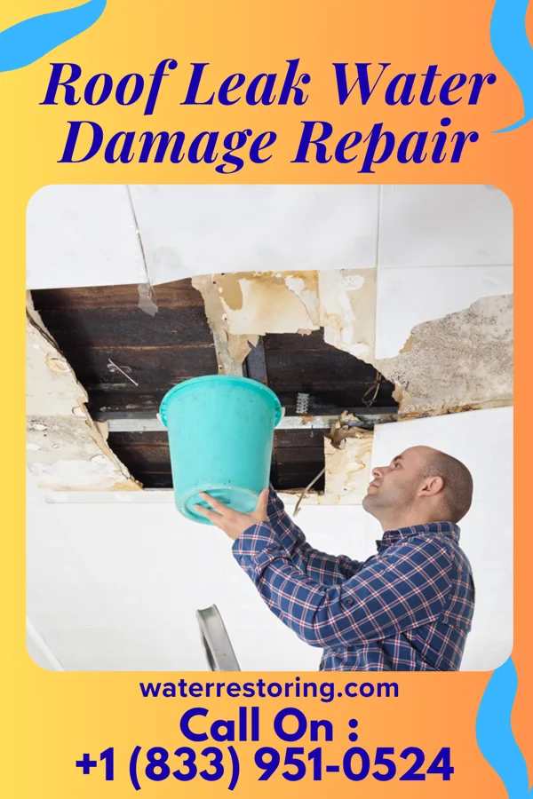 Roof Leak Water Damage Repair in New Haven, WV