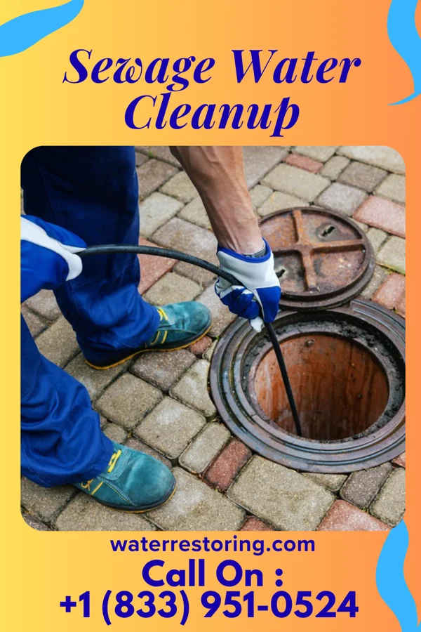 Sewage Water Cleanup in New Haven, WV
