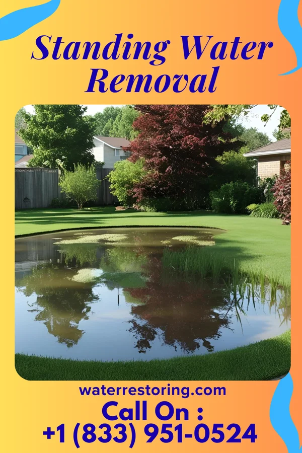 Standing Water Removal in New Haven, WV